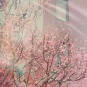 ヒメ日記 2025/01/30 17:48 投稿 山下小百合 Matriarch(マトリアルカ)