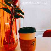 ヒメ日記 2025/02/08 08:32 投稿 山下小百合 Matriarch(マトリアルカ)