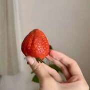 ヒメ日記 2025/02/16 07:14 投稿 山下小百合 Matriarch(マトリアルカ)