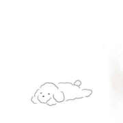 ヒメ日記 2025/05/30 18:53 投稿 山下小百合 Matriarch(マトリアルカ)