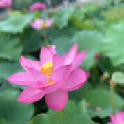 ヒメ日記 2025/07/11 14:57 投稿 山下小百合 Matriarch(マトリアルカ)