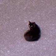 ヒメ日記 2025/07/17 17:15 投稿 山下小百合 Matriarch(マトリアルカ)