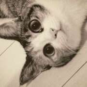 ヒメ日記 2025/08/11 09:00 投稿 山下小百合 Matriarch(マトリアルカ)