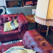 ヒメ日記 2025/09/01 13:28 投稿 山下小百合 Matriarch(マトリアルカ)