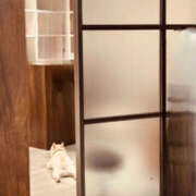 ヒメ日記 2025/10/17 10:50 投稿 山下小百合 Matriarch(マトリアルカ)