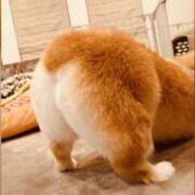 ヒメ日記 2025/11/02 07:19 投稿 山下小百合 Matriarch(マトリアルカ)