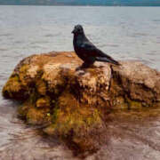 ヒメ日記 2025/11/08 11:15 投稿 山下小百合 Matriarch(マトリアルカ)