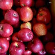 ヒメ日記 2025/11/10 11:01 投稿 山下小百合 Matriarch(マトリアルカ)