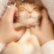 ヒメ日記 2025/11/11 10:23 投稿 山下小百合 Matriarch(マトリアルカ)