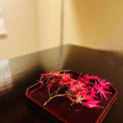 ヒメ日記 2025/11/23 08:22 投稿 山下小百合 Matriarch(マトリアルカ)