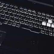 ヒメ日記 2025/11/23 18:44 投稿 山下小百合 Matriarch(マトリアルカ)