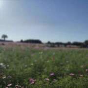 ヒメ日記 2025/11/26 12:15 投稿 山下小百合 Matriarch(マトリアルカ)