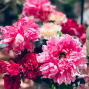 ヒメ日記 2025/11/28 16:36 投稿 山下小百合 Matriarch(マトリアルカ)