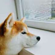 ヒメ日記 2025/11/29 20:30 投稿 山下小百合 Matriarch(マトリアルカ)