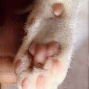 ヒメ日記 2025/12/06 09:19 投稿 山下小百合 Matriarch(マトリアルカ)