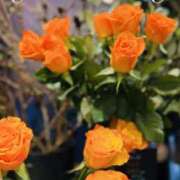 ヒメ日記 2025/12/16 08:17 投稿 山下小百合 Matriarch(マトリアルカ)