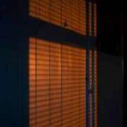 ヒメ日記 2025/12/29 17:29 投稿 山下小百合 Matriarch(マトリアルカ)