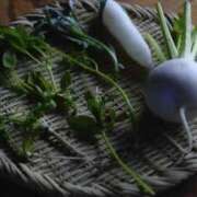 ヒメ日記 2026/01/07 23:48 投稿 山下小百合 Matriarch(マトリアルカ)