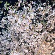 ヒメ日記 2025/04/11 23:03 投稿 水樹 BBW五反田店