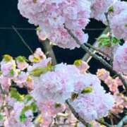 ヒメ日記 2025/04/16 19:53 投稿 水樹 BBW五反田店