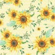 ヒメ日記 2026/01/25 13:38 投稿 花 Arrest（アレスト）