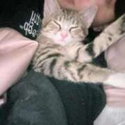 ヒメ日記 2024/12/19 18:15 投稿 かりん ハイ・チュッ