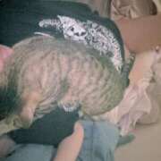 ヒメ日記 2025/06/18 17:42 投稿 かりん ハイ・チュッ