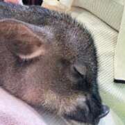 ヒメ日記 2025/06/27 18:38 投稿 かりん ハイ・チュッ