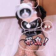 ヒメ日記 2025/11/04 17:06 投稿 かりん ハイ・チュッ