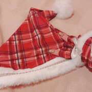 ヒメ日記 2024/12/10 07:26 投稿 ましろ マリン千姫