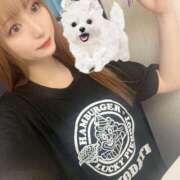 ヒメ日記 2025/03/19 00:11 投稿 めい ソープランド AQUA（アクア）