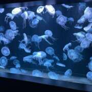 ヒメ日記 2025/04/14 14:03 投稿 めい ソープランド AQUA（アクア）