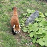 ヒメ日記 2026/02/01 16:18 投稿 めい ソープランド AQUA（アクア）