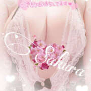 ヒメ日記 2025/03/26 14:43 投稿 さくら もしも素敵な妻が指輪をはずしたら・・・カーラ