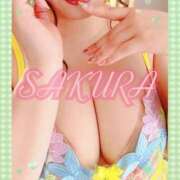 ヒメ日記 2025/05/01 14:53 投稿 さくら もしも素敵な妻が指輪をはずしたら・・・カーラ