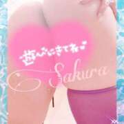 ヒメ日記 2025/07/25 07:34 投稿 さくら もしも素敵な妻が指輪をはずしたら・・・カーラ