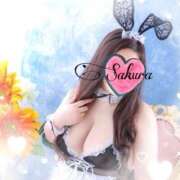 ヒメ日記 2025/08/07 05:23 投稿 さくら もしも素敵な妻が指輪をはずしたら・・・カーラ