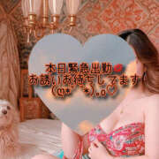 ヒメ日記 2025/11/30 07:33 投稿 さくら もしも素敵な妻が指輪をはずしたら・・・カーラ