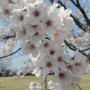 ヒメ日記 2025/04/11 13:39 投稿 くるみ 西船巨乳ぽっちゃり　乳神さま