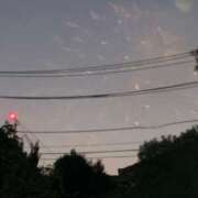 ヒメ日記 2025/09/08 16:59 投稿 しの 柏人妻花壇