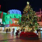 ヒメ日記 2025/12/02 19:53 投稿 しの 柏人妻花壇