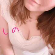 ヒメ日記 2026/04/03 11:57 投稿 しの 柏人妻花壇