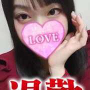 ヒメ日記 2025/04/01 01:00 投稿 夕日　かえら OLセレクション宇都宮店