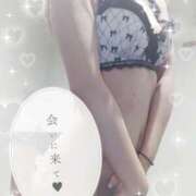 ヒメ日記 2025/09/14 10:15 投稿 夕日　かえら OLセレクション宇都宮店