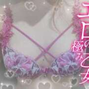 ヒメ日記 2025/09/16 15:30 投稿 夕日　かえら OLセレクション宇都宮店