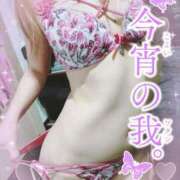 ヒメ日記 2025/10/17 20:00 投稿 夕日　かえら OLセレクション宇都宮店