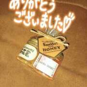 ヒメ日記 2026/04/17 12:44 投稿 夕日　かえら OLセレクション宇都宮店