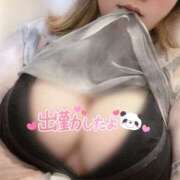 ヒメ日記 2025/06/09 18:10 投稿 あき 僕らのぽっちゃリーノin越谷