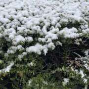 ヒメ日記 2025/03/19 10:10 投稿 あき 僕らのぽっちゃリーノin春日部