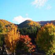 ヒメ日記 2025/11/08 11:35 投稿 わかな 電車ごっこ